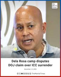 DRAGON BOAT GATHERING (From left) Dr. Wai-Hung Luk. ICF Dragon Boat  Commission Chairman, Hon. Lucilo Bayron, Puerto Princesa City Mayor,  Leonora Escollante, Philippine Canoe Kayak & Dragon Federation President,  and Thomas Konietzko,