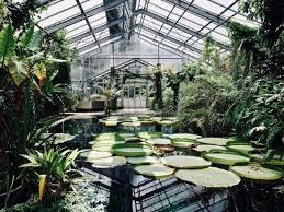 Das außengelände des botanischen gartens hat geöffnet. Ein Nachmittag Im Botanischen Garten Botanischer Garten Bonn Botanischer Garten Garten