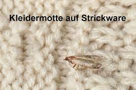 Hausmittel gegen motten im kleiderschrank. Kleidermotten Bekampfen In Nur 4 Schritten Motten Weg De