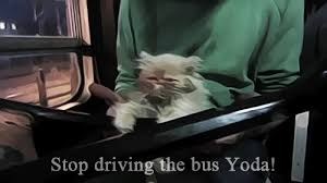 Ev`s videos 57 views6 months ago. Gifyoutube Gifs Wifflegif