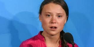 Greta tintin eleonora ernman thunberg is a swedish environmental activist who is universally known for challenging world leaders to take imm. Reactions To Greta Thunberg S Un Climate Summit Speech 2019