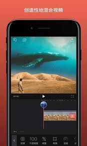 Premium/unlocked video editing, video clips, video filters, . Videoleap Purifiededition For Android Apk Download