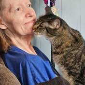 Search for Obituaries