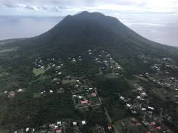 Image result for Staudtia