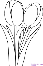 Pin By Kristina Belcher On Printables Graphics Tulip Drawing Flower Drawing Tulips