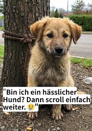 Guten Morgen Gute Nacht (Bilder und Sprüche)