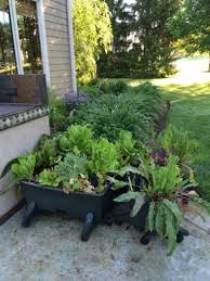 kitchen garden mother earth news