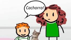 Resultado de imagem para assimilaÃ§Ã£o e acomodaÃ§Ã£o