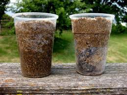 Common Knowledge Says That Placing Gravel Or Potting Shards At The Bottom Of A Container Will Improve Drainage Container Gardening Gardening Tips Potting Soil