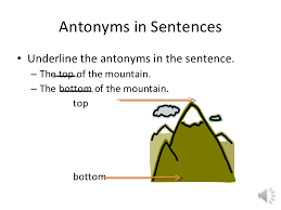 Synonyms And Antonyms