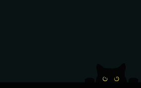 My Cat At 5am On The Edge Of The Bed 2880x1800 Wallpaper Dekstop Laptop Wallpaper Desktop Wallpapers Aesthetic Desktop Wallpaper