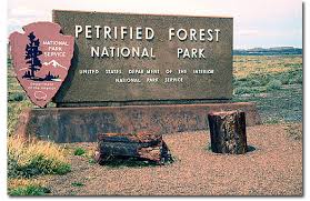 Use our easy lodging search to find exactly the type of accommodation you are looking for at the right price. Petrified Forest National Park Desertusa