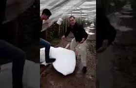 Então as gotas gigantes precisam atingir algo próximo de 5 quilômetros, em que a temperatura é abaixo de zero e elas são congeladas. Chuva Forte E Granizo Causam Estragos No Interior De Mg Reporter Beto Ribeiro