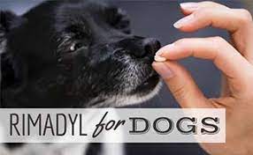 Rimadyl For Dogs Dosage Chart Side Effects Uses Safety More Caninejournal Com