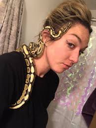 Anyone know what type of snake this is? Update its a Ball python.