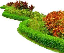 Flower Garden Png Image Flower Garden Garden Images Garden Flower Beds