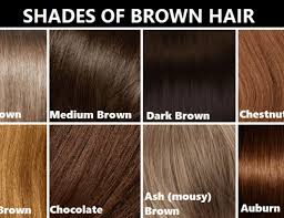 attending brown hair colours chart can be a disaster if you