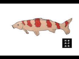 Gambar kolase laut koleksi gambar hd kolase juga dapat dibuat. Menggambar Dan Mewarnai Ikan Koi Termahal Ngajar Warna Youtube