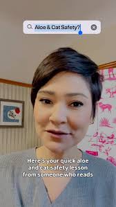 Yes, aloe can be safe for cats, and we’ve broken down the science behind  aloe gel. 🌱🐱, #prettylitter #catsafety #aloegel