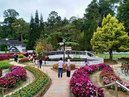 While in malaysia, i heard many people talking about how nice cameron highland is… but the way people talked about it. Tempat Menarik Di Cameron Highland Mesti Dilawati Percutian Bajet