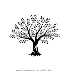 Coloring pages | ashley cameron. Olive Tree Silhouette Icon Isolated On Stock Vector Royalty Free 192767 Png Images Pngio