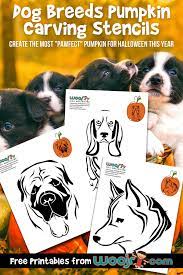 Dog pumpkin carving stencil covermyride. Dog Breeds Pumpkin Carving Stencils Woo Jr Kids Activities