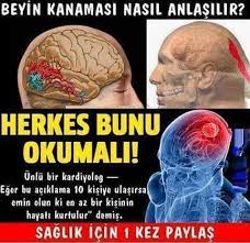 Beyin Kanamasi Nasil Anlasilir Ciltbakimklavuzunuz Alternative Medicine Understanding Therapy Help