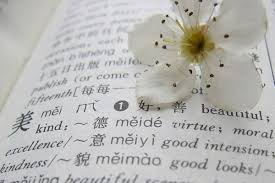 20 Awesomely Untranslatable Words From Around The World Words Language Words To Use