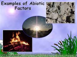 Ecosystems Biotic And Abiotic Factors In 2020 Abiotic Ecosystems Biotic