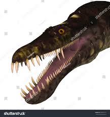 Image result for Nothosaurus