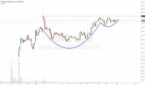 Pbyi Stock Price And Chart Nasdaq Pbyi Tradingview