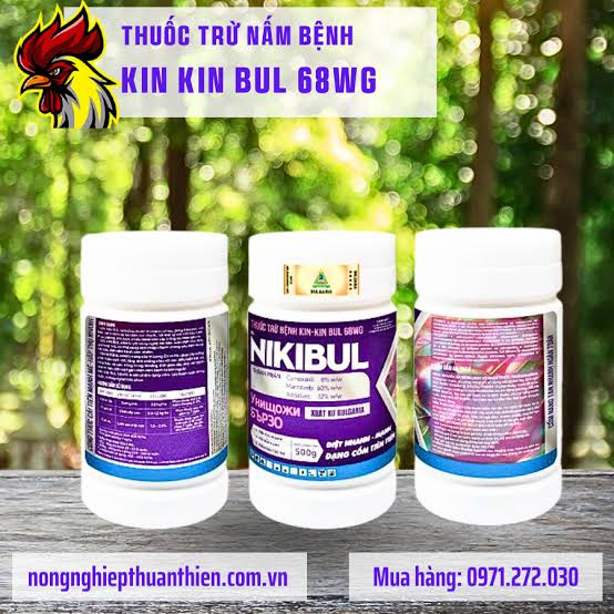 Kin-kin Bul 68WG