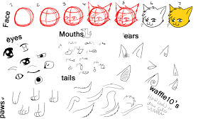 780x1024nime drawing for kids simple cat drawing for kids how to draw. How To Draw Cat Ears Step By Step Drawing For Kids