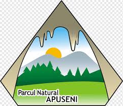 Să fie atrăgătoare, să aibe un efect vizual puternic limpede. Cupa Png Images Pngwing