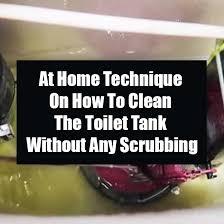 If left unaddressed, not only can bad smells permeate the bathroom, but the toilet's components. At Home Technique On How To Clean The Toilet Tank Without Any Scrubbing