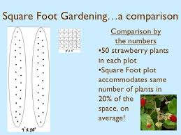 The high satisfaction rate is set by our quality control department, which checks all papers before submission. Pin On Fruit Garden