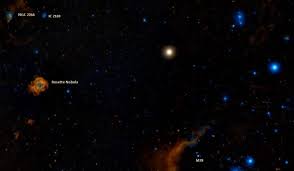 Beetlejuice, what did i just say? Betelgeuse Alpha Orionis Star Type Supernova Name Location Star Facts