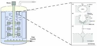 Based on the number of cell division, cell culture can be classified as primary cell culture and cell lines. Development Of An Improved Poloxamer 188 Optimized For Cell Culture Performance
