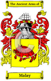Malay Name Meaning, Family History, Family Crest & Coats of Arms, Irish