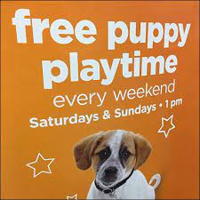 Tricorne Petco Free Puppy Playtime Sign Fixtures Close Up Free Puppies Petco Puppies