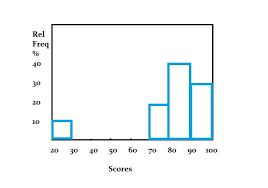 Relative Frequency Histogram Definition And How To Make One