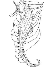 Living in protected areas such as plankton beds, estuaries, coral reefs and swamps of mangroves. Printable Crafts Colouring Pages Free Premium Templates In 2020 Horse Coloring Pages Dog Coloring Page Coloring Pages