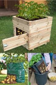 Cultivate Potatoes In An Apartment How To Do It Garten Hochbeet Garten Bepflanzen Gartenprodukte
