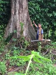 Maybe you would like to learn more about one of these? Ug1mj7h0fae4fm