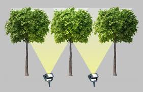 Use this technique to make walks, arbours, tunnels and arches. Outdoor Lights A Guide To Lighting Pleached Trees Lighting For Gardens