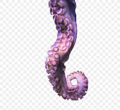 Octopus Tentacle Drawing Png 500x750px Octopus Animation Art Bubbletip Anemone Cephalopod Download Free This article will show you some techniques in drawing both a realistic and a cartoon octopus. octopus tentacle drawing png