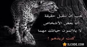 utyfxehegalbyvjglkyu 10455916 10153698173783647 8672374611818674599 n jpg 435 239 movie posters poster words