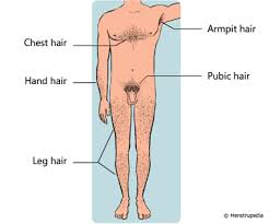 Underarm hair, as human body hair, usually starts to appear at the beginning of puberty. Physical Changes That Occur During Puberty In Boys