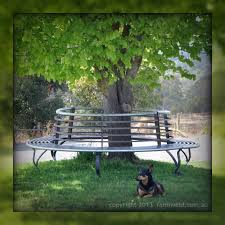 Scroll tubular iron tree bench this stylish bench can be set freely encircled tree, to create a comfortable and good looking place to seat. Wrought Iron Tree Seat And Steel Tree Bench Farmweld