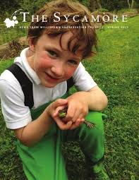 Sycamore 2015 by Willistown Conservation Trust